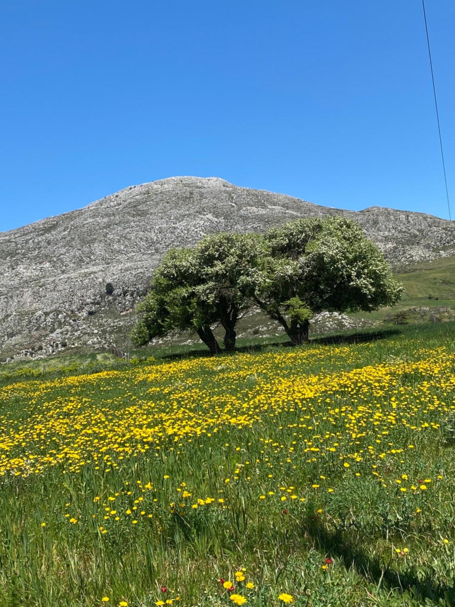 Costas Inn Spílion Buitenkant foto